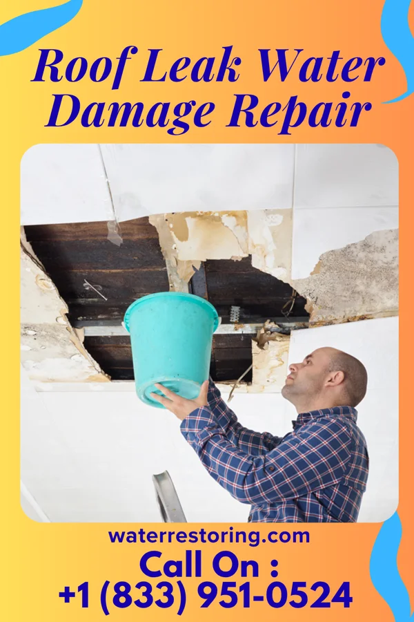 Roof Leak Water Damage Repair in Salem, SC